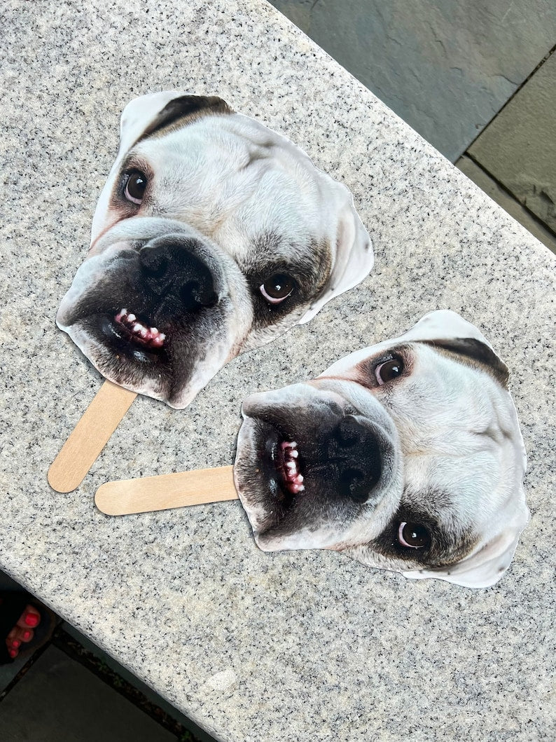 Bachelorette favors, Pet Face on a Stick, bachelorette decor, Bachelorette Party Favors, Graduation and Birthday, Personalized dog, Pet gift