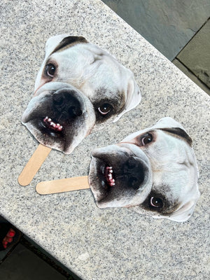 Bachelorette favors, Pet Face on a Stick, bachelorette decor, Bachelorette Party Favors, Graduation and Birthday, Personalized dog, Pet gift