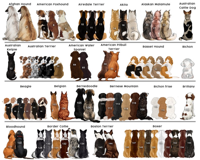 Some Angels Choose Fur Instead Of Wings - Memorial Personalized Custom Mason Jar Light - Sympathy Gift For Pet Owners, Pet Lovers il_794xN.5219035278_q8j7_5000x_0c529b9b-2842-4257-9ba6-ec7c13d53729.jpg