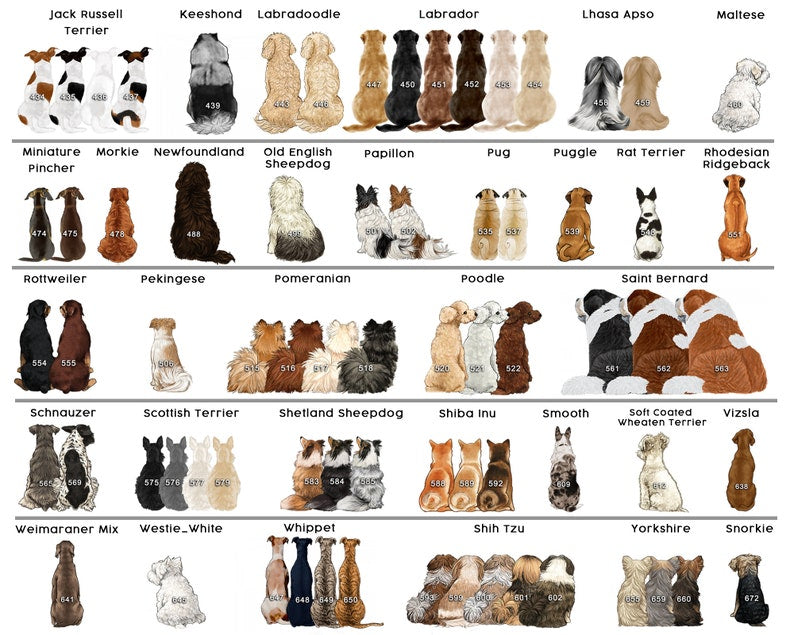 Some Angels Choose Fur Instead Of Wings - Memorial Personalized Custom Mason Jar Light - Sympathy Gift For Pet Owners, Pet Lovers il_794xN.5219035508_guzh_5000x_233c9866-575d-4532-8358-df26d1ffc2bd.jpg