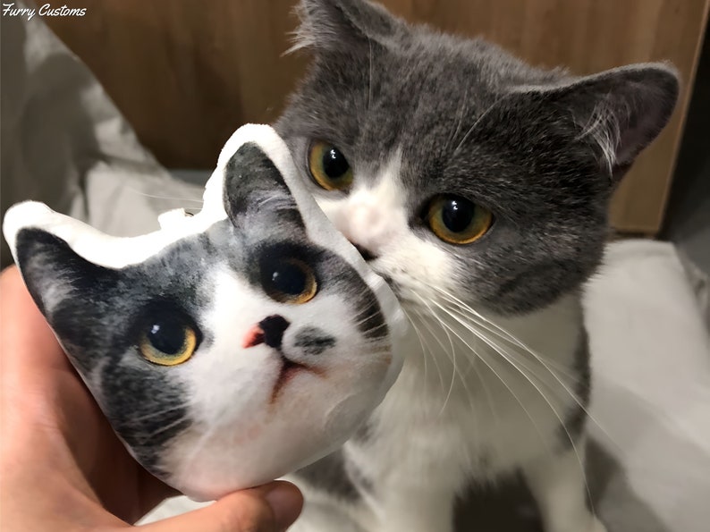 Custom Ugly Dog face Pillow Keychain , custom pet ornament, Portraits Using Pet Photo, Personalized Dog Portraits, Cat Portraits