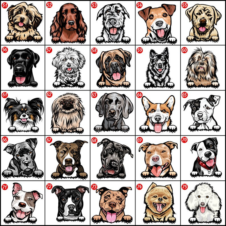 Personalized Dog Christmas Stockings, Custom Dog Name Christmas Stockings, Buffalo Plaid Christmas Gifts For Toddler Kids, Dog Owners Gifts