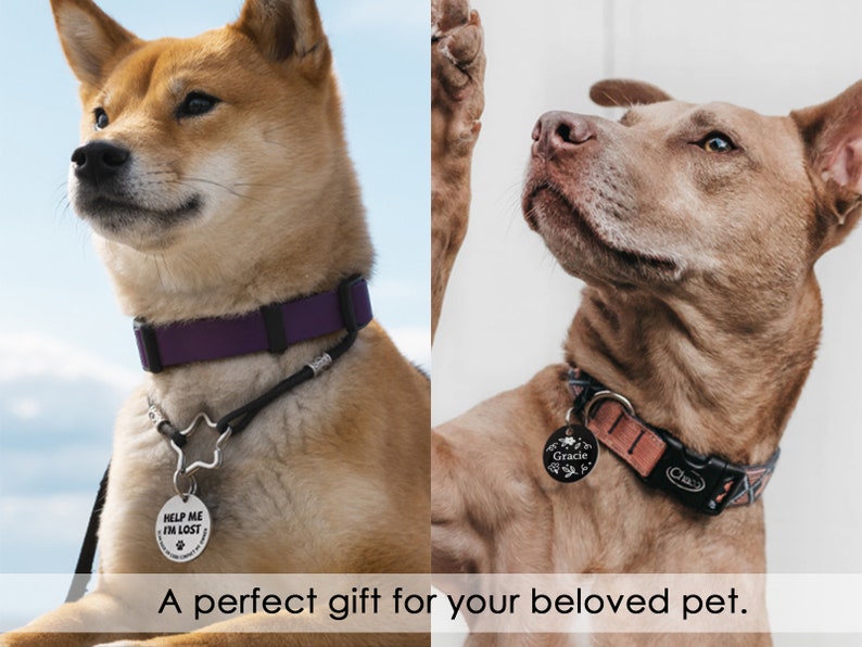 Personalized Dog and Cat Name Tag, Dog Tag Engraved for Pets, Keep Safe Microchipped Dog Tag, Customized Dog Tag, Cute Dog ID Tag, Pet Gift