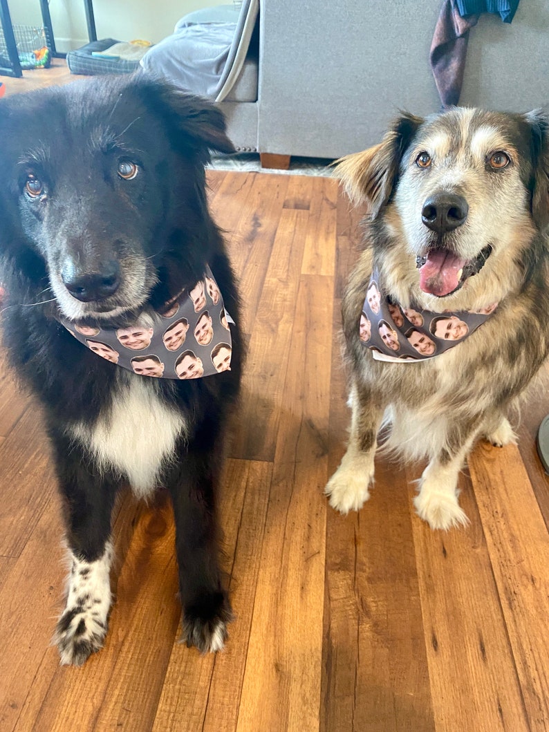 Face Bandana Human Face Pet Face Bandana, Dog Bandana, Personalized Photo Bandana, Custom Face Bandana, Photo Bandana, Dog or human Bandana