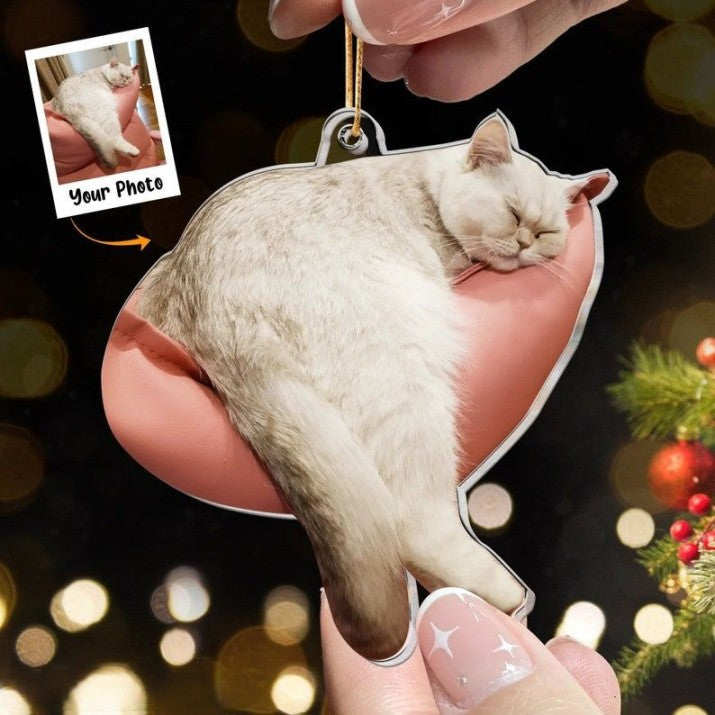 Custom Ugly Cat Ornament, Custom Ugly Dog Ornament, Personalized Funny Pet Photo Acrylic Ornament, Pet Memorial, Funny Ugly pet Ornament,Pet Loss Gift