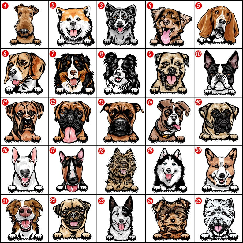 Personalized Dog Christmas Stockings, Custom Dog Name Christmas Stockings, Buffalo Plaid Christmas Gifts For Toddler Kids, Dog Owners Gifts