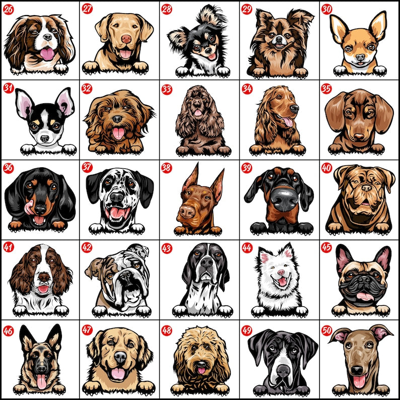 Personalized Dog Christmas Stockings, Custom Dog Name Christmas Stockings, Buffalo Plaid Christmas Gifts For Toddler Kids, Dog Owners Gifts