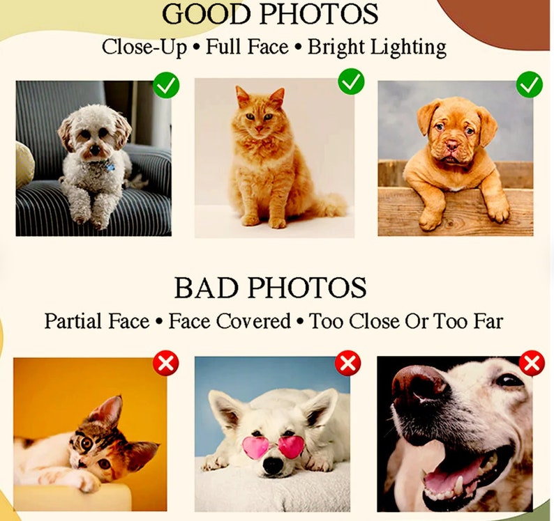 Dog Halloween Embroidered Sweatshirt, Custom Pet Portrait Hoodie, Halloween Dog Hoodie, Personalised Dog Gifts, Halloween Gifts For Girlfriend