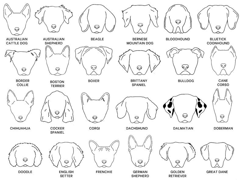 Personalized Dog Ornament, Dog First Christmas Ornament, Dog Lover Gift, Pet Ornament, Dog Lover Christmas Gift, Dog Ornament, Dog Gifts