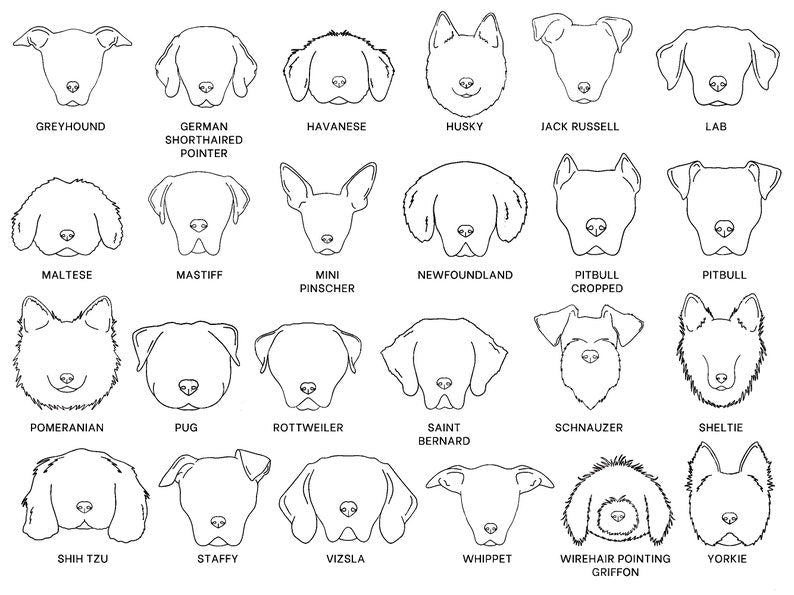 Personalized Dog Ornament, Dog First Christmas Ornament, Dog Lover Gift, Pet Ornament, Dog Lover Christmas Gift, Dog Ornament, Dog Gifts