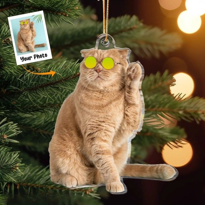 Custom Ugly Cat Ornament, Custom Ugly Dog Ornament, Personalized Funny Pet Photo Acrylic Ornament, Pet Memorial, Funny Ugly pet Ornament,Pet Loss Gift