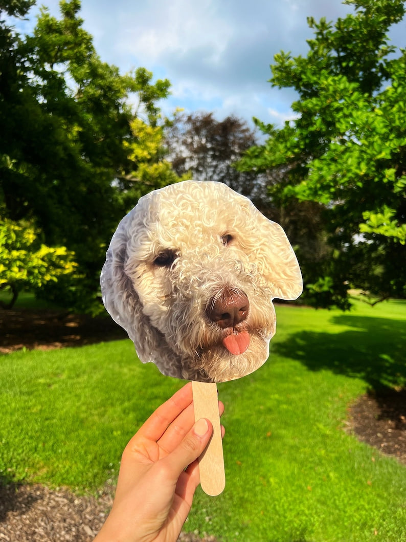 Bachelorette favors, Pet Face on a Stick, bachelorette decor, Bachelorette Party Favors, Graduation and Birthday, Personalized dog, Pet gift