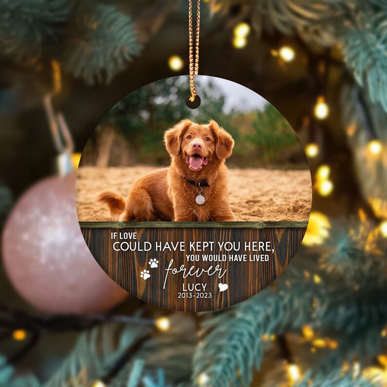 Custom Pet Memorial Ornament, Personalized Dog/Cat Memorial Ornament, Custom Pet Forever Loved, If Love Could Have Keep You Ornament
