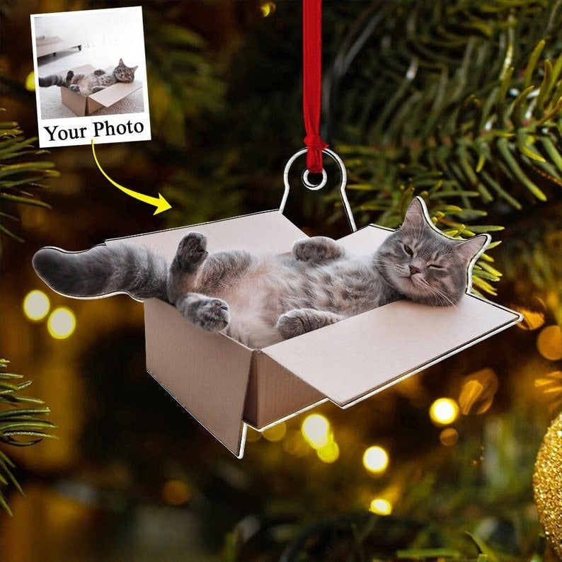 Personalized Funny Cat Photo Ornament, Cats with Owners moment, Christmas Ornament, Cat Photo Ornament, Cat Mom Gifts, Xmas Tree Decor
