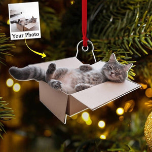 Personalized Funny Cat Photo Ornament, Cats with Owners moment, Christmas Ornament, Cat Photo Ornament, Cat Mom Gifts, Xmas Tree Decor