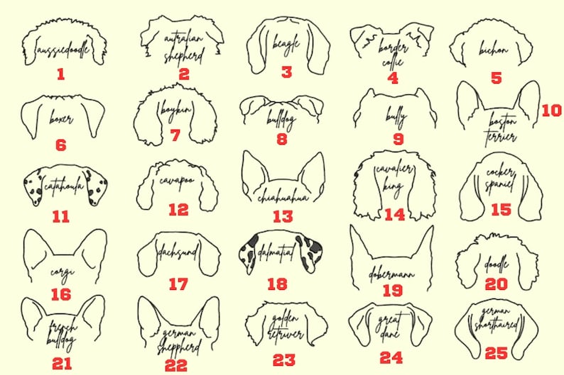 EMBROIDERED Dog Ears with Personalized Names