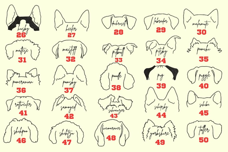 EMBROIDERED Dog Ears with Personalized Names