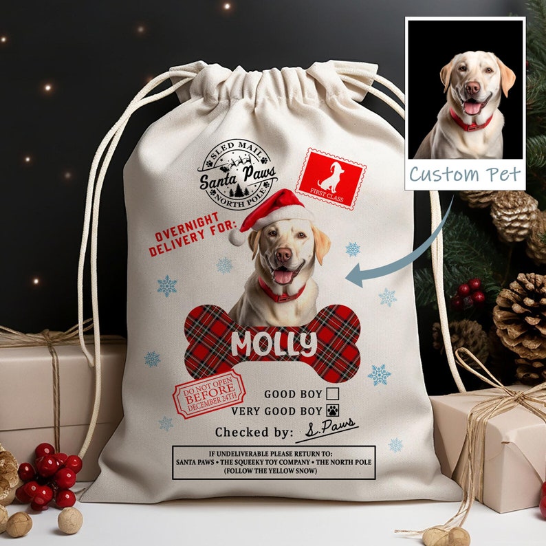 Personalized Photo Christmas Santa Sack For Christmas, Christmas Gifts Bags For Pets, Christmas Present Sack, Christmas Sack for Dogs Cats