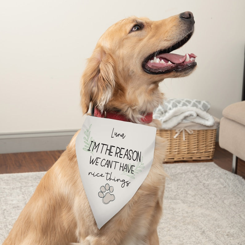 Funny Dog Bandana | Personalized Dog Bandana | Christmas Gift for Dog | This Is Why We Can't Have Nice Things Dog Bandana | Funny Dog Gift