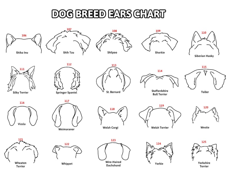 Custom Dog Ear Sign, Pet Loss Gift, Dog Ear Art, Personalized Gift, Dog Ear Portrait, Unique Gift Idea, Pet Loss Gifts Dog