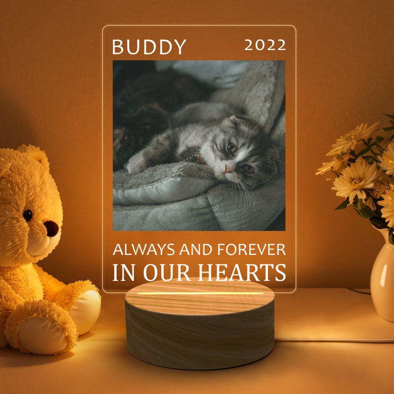 Pet Memorial Night Light Custom, Cat Memorial Sign, Pet Keepsake for Gift, Personalised Dog Memorial Photo Sign, Light Up Pet Memorial Gift