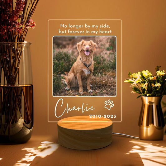 Pet Memorial Night Light Custom, Cat Memorial Sign, Pet Keepsake for Gift, Personalised Dog Memorial Photo Sign, Light Up Pet Memorial Gift