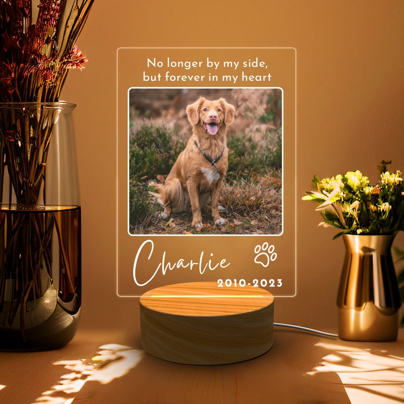 Pet Memorial Night Light Custom, Cat Memorial Sign, Pet Keepsake for Gift, Personalised Dog Memorial Photo Sign, Light Up Pet Memorial Gift