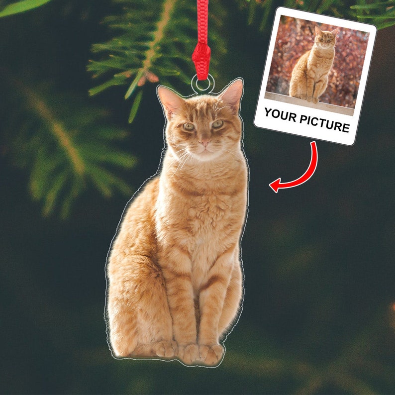 Custom Ugly Cat Ornament, Custom Ugly Dog Ornament, Personalized Funny Pet Photo Acrylic Ornament, Pet Memorial, Funny Ugly pet Ornament,Pet Loss Gift