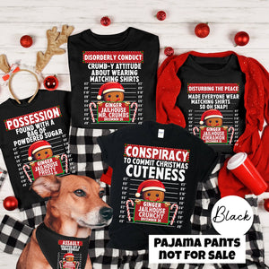 Family Christmas Shirt 2025, Group Matching Christmas outfits, Funny Gingerbread Inmate Christmas Party Tees, Matching Family Christmas Shirts