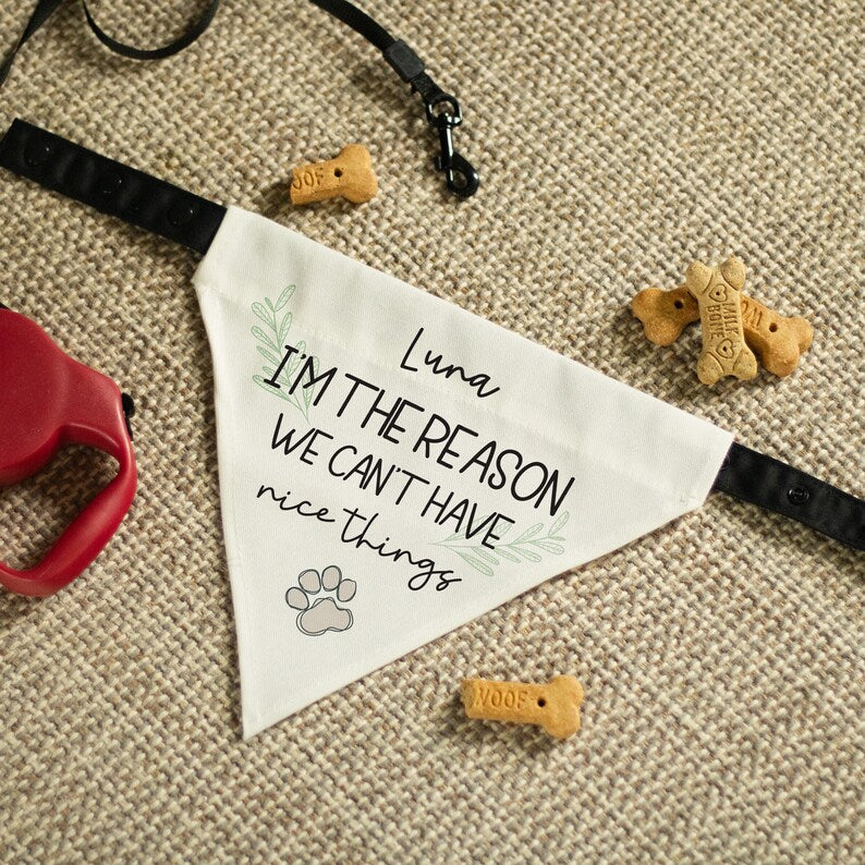 Funny Dog Bandana | Personalized Dog Bandana | Christmas Gift for Dog | This Is Why We Can't Have Nice Things Dog Bandana | Funny Dog Gift