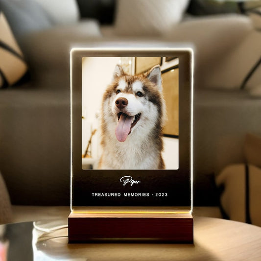 Light Up Pet Memorial Plaque, Personalized Gifts for Pet Loss, Sympathy Gift for Dog, Dog Loss Gift, Cat Loss Gift, Pet Loss Gift