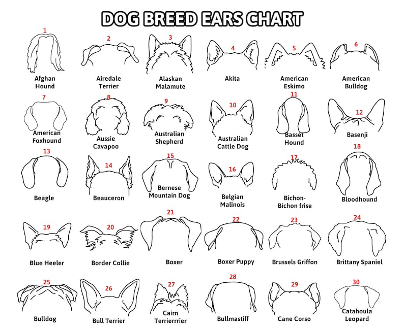 Custom Dog Ear Sign, Pet Loss Gift, Dog Ear Art, Personalized Gift, Dog Ear Portrait, Unique Gift Idea, Pet Loss Gifts Dog