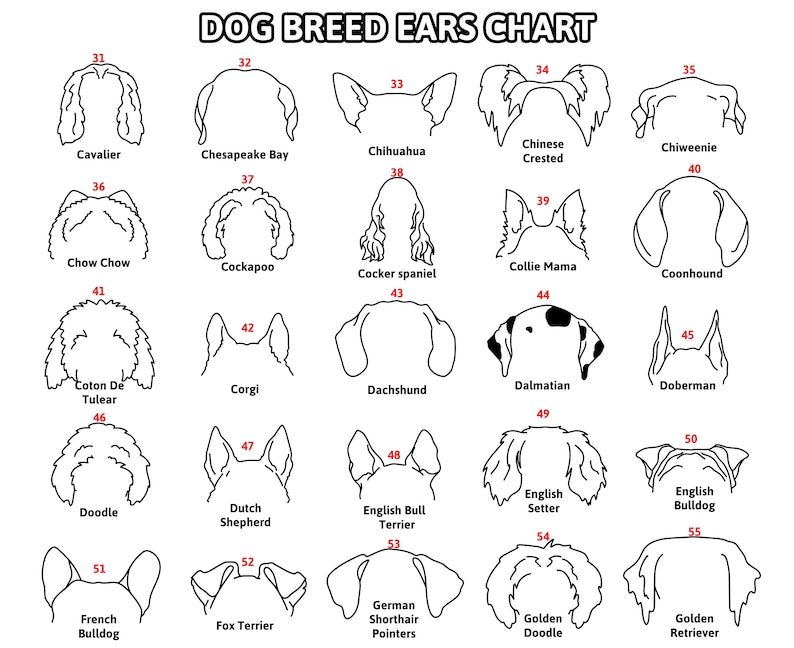 Custom Dog Ear Sign, Pet Loss Gift, Dog Ear Art, Personalized Gift, Dog Ear Portrait, Unique Gift Idea, Pet Loss Gifts Dog