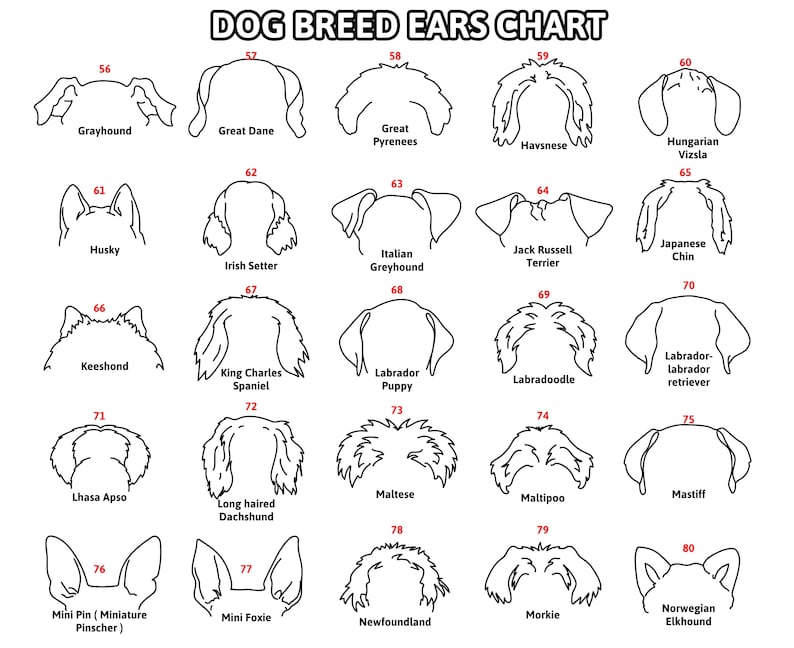 Custom Dog Ear Sign, Pet Loss Gift, Dog Ear Art, Personalized Gift, Dog Ear Portrait, Unique Gift Idea, Pet Loss Gifts Dog