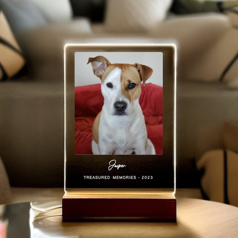 Light Up Pet Memorial Plaque, Personalized Gifts for Pet Loss, Sympathy Gift for Dog, Dog Loss Gift, Cat Loss Gift, Pet Loss Gift