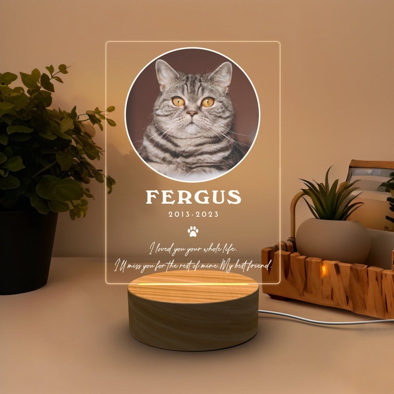 Pet Memorial Night Light Custom, Cat Memorial Sign, Pet Keepsake for Gift, Personalised Dog Memorial Photo Sign, Light Up Pet Memorial Gift