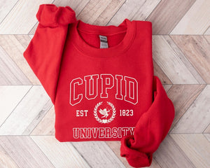 Cupid University Sweatshirt, Cute Valentine's Day Shirt, Funny College Sweatshirt, Love Crewneck Sweatshirt, Cupid Hoodie
