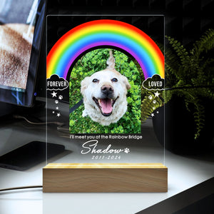 Rainbow Light Up Pet Memorial Plaque | Pet Memorial Night Light | Personalized Gifts for Pet Loss | Custom Pet Photo | Custom Pet Memorial Gifts il_794xN.5642281254_mo0w.jpg