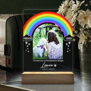 Rainbow Light Up Pet Memorial Plaque | Pet Memorial Night Light | Personalized Gifts for Pet Loss | Custom Pet Photo | Custom Pet Memorial Gifts il_794xN.5642281316_dwgt.jpg