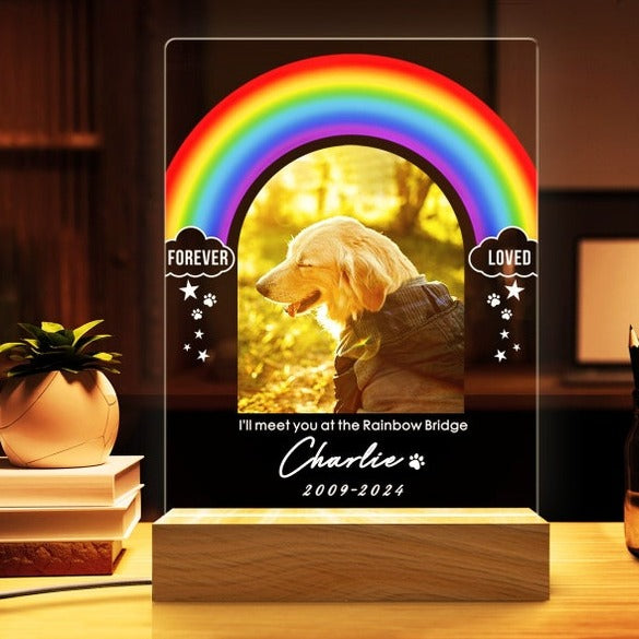 Rainbow Light Up Pet Memorial Plaque | Pet Memorial Night Light | Personalized Gifts for Pet Loss | Custom Pet Photo | Custom Pet Memorial Gifts il_794xN.5653371002_s6vr.jpg