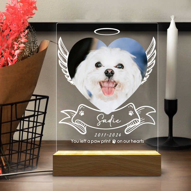 Custom Pet Photo Night Light, Personalized Gifts for Pet Loss, Dog Cat Night Light, Pet Loss Gift, Custom Pet Print, Pet Memorial Frame il_794xN.5653472890_9ayk.jpg