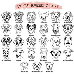 Custom French Bulldog Sweatshirt | Personalized Frenchie Crewneck | Dog Mom Sweater | Bulldog Shirt | Pet Lover Gift | Frenchie Sweatshirt