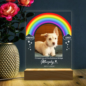 Rainbow Light Up Pet Memorial Plaque | Pet Memorial Night Light | Personalized Gifts for Pet Loss | Custom Pet Photo | Custom Pet Memorial Gifts il_794xN.5690342745_l1un.jpg