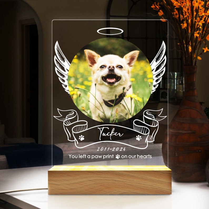Custom Pet Photo Night Light, Personalized Gifts for Pet Loss, Dog Cat Night Light, Pet Loss Gift, Custom Pet Print, Pet Memorial Frame il_794xN.5701537887_mhuy.jpg
