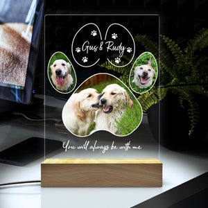 Pet Memorial Night Light, Custom Pet Plaque, Pet Night Light, Custom Pet Photo, Pet Memorial Frame, Gifts for Pets, Cat Dog Loss Gift