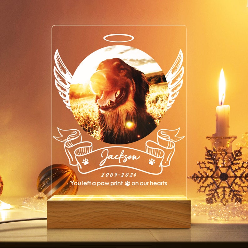 Custom Pet Photo Night Light, Personalized Gifts for Pet Loss, Dog Cat Night Light, Pet Loss Gift, Custom Pet Print, Pet Memorial Frame il_794xN.5708257171_5s51.jpg