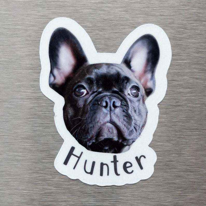 Custom Fridge Magnet, Die Cut Pet Magnets, Personalized Family Photo Magnets,Dog Cat Lover Gifts, Occasional Custom Printing Gift,Decorative