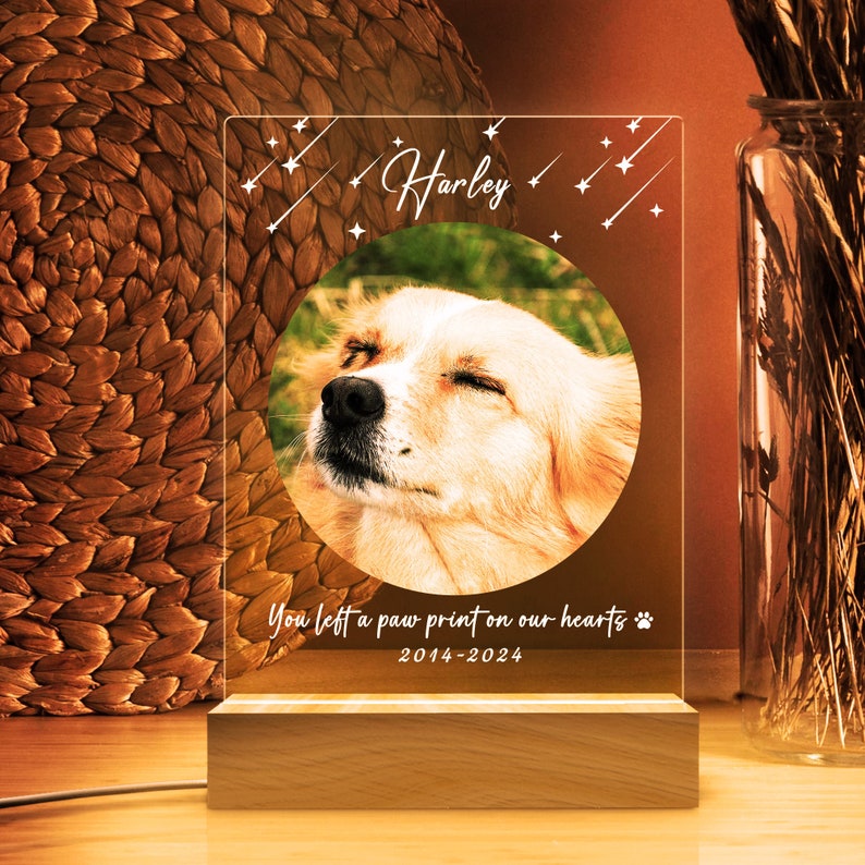 Personalized Photo Pet Night Light, Pet Memorial Plaque, Personalized Gifts for Pet Loss, Sympathy Gift, Mother's Day Gift,Pet Memorial Lamp