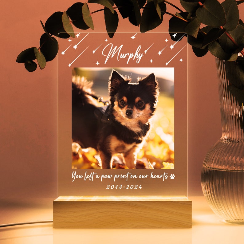 Personalized Photo Pet Night Light, Pet Memorial Plaque, Personalized Gifts for Pet Loss, Sympathy Gift, Mother's Day Gift,Pet Memorial Lamp