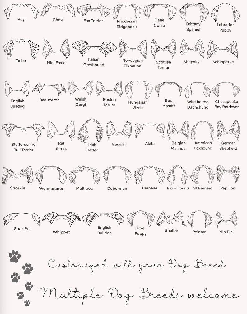 Custom Dog Ears Sweatshirt - Personalized Corgi Shirt for Dog Moms, Add Your Pet's Name to the Sleeve, Unique Dog Lover Gift, cute puppy tee